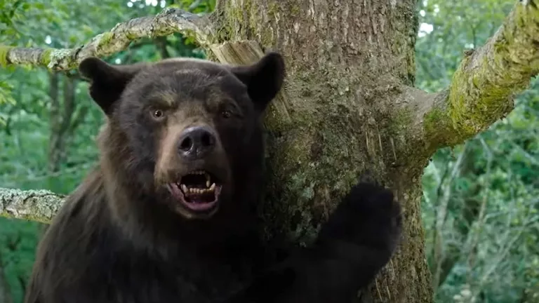 Cocaine Bear: The True Story of Wildlife, Drugs, and Unusual Taxidermy