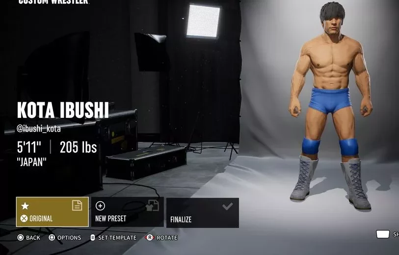 aew fight forever Customization Options