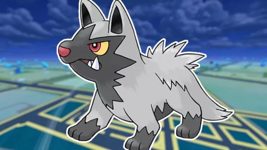 Poochyena 100% perfect IV stats, shiny Poochyena in Pokémon Go