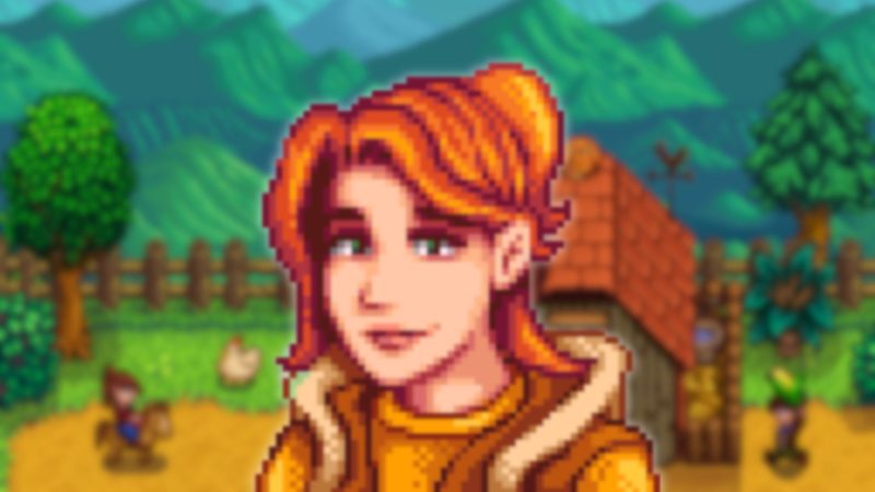 Stardew Valley Robin guide