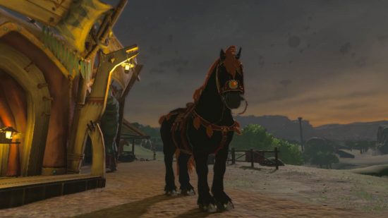 Imposing black stallion at stable