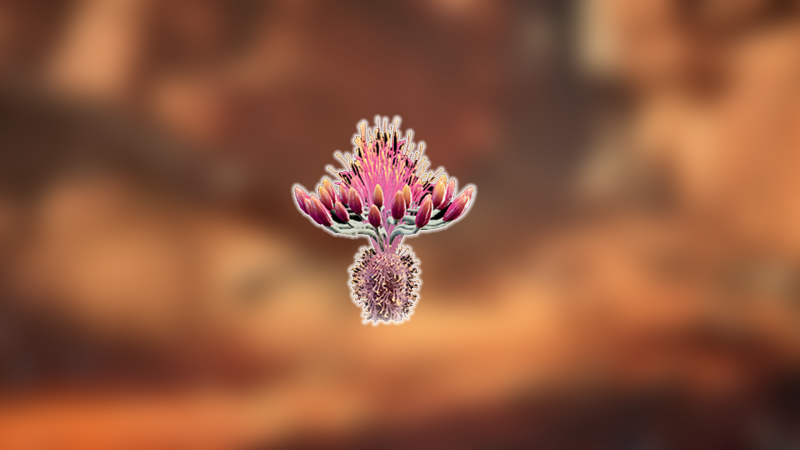 How To Get Agave Seeds in Dune Awakening