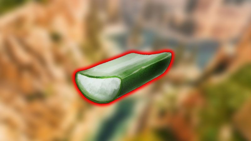 How To Get Cactus Sap in Ark Ragnarok Ascended