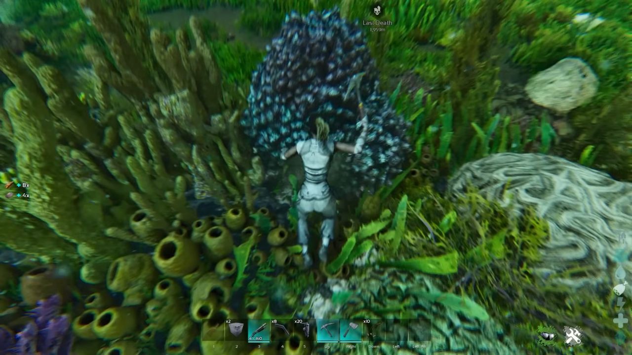 ARK Survival Ascended Guide, How To Get Lots of Oils, Locating the Blue Coral