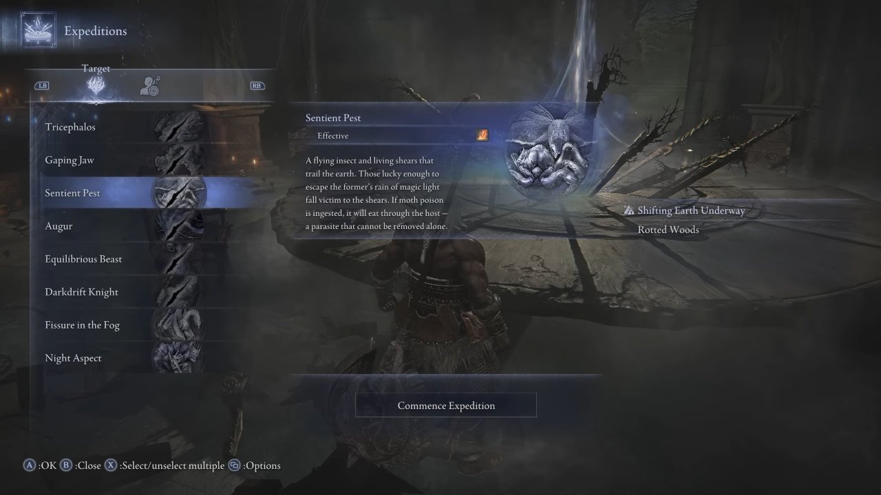 Elden Ring Nightreign Castle Exploration