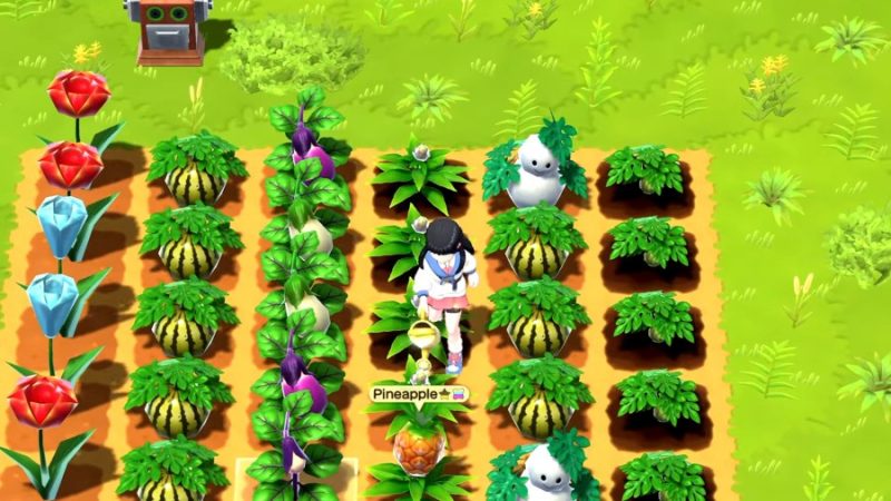 Another Harvest Moon Title Headed to Switch