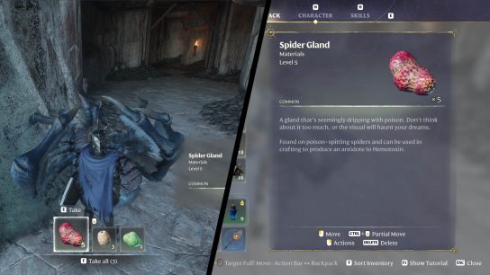 How to Get Spider Gland in Enshrouded