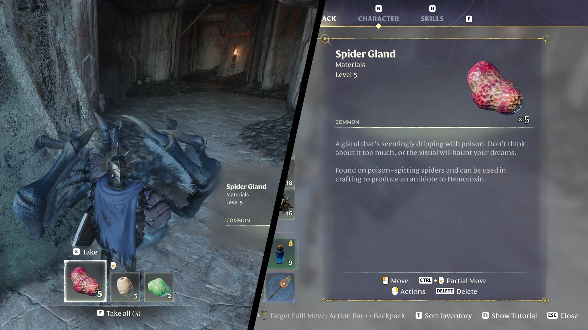 How to Get Spider Gland in Enshrouded