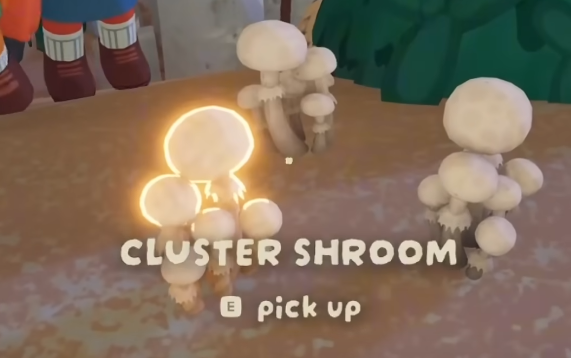 PEAK Mushroom Guide