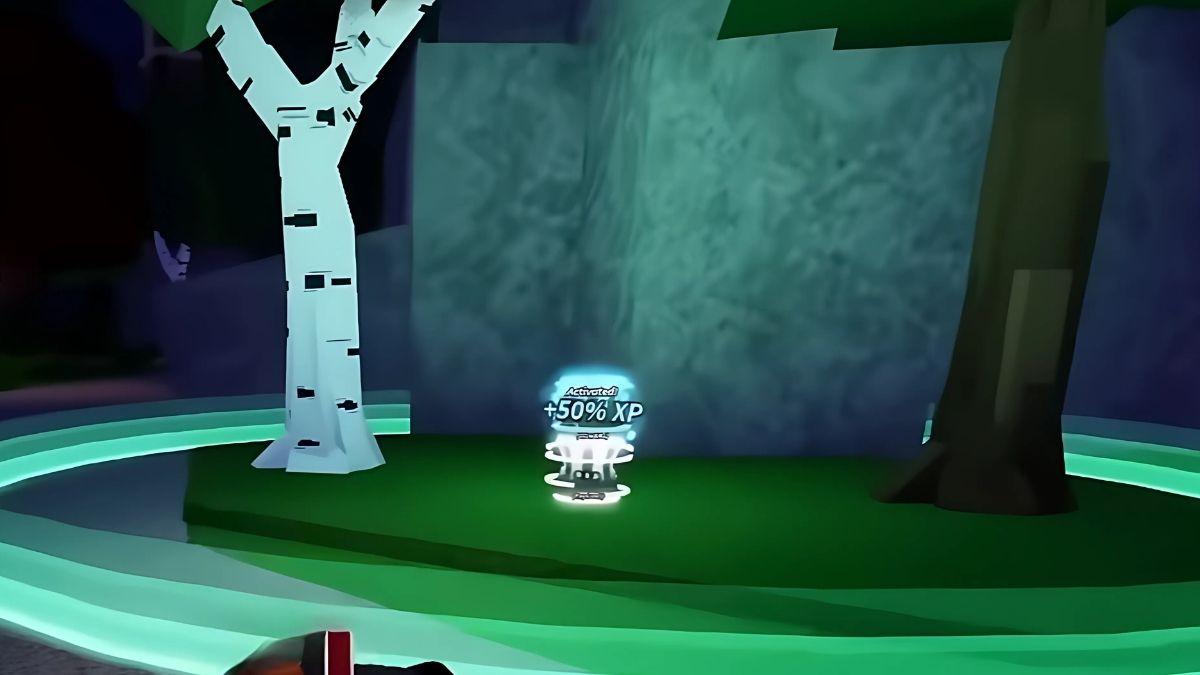 Using Totem in DIG
