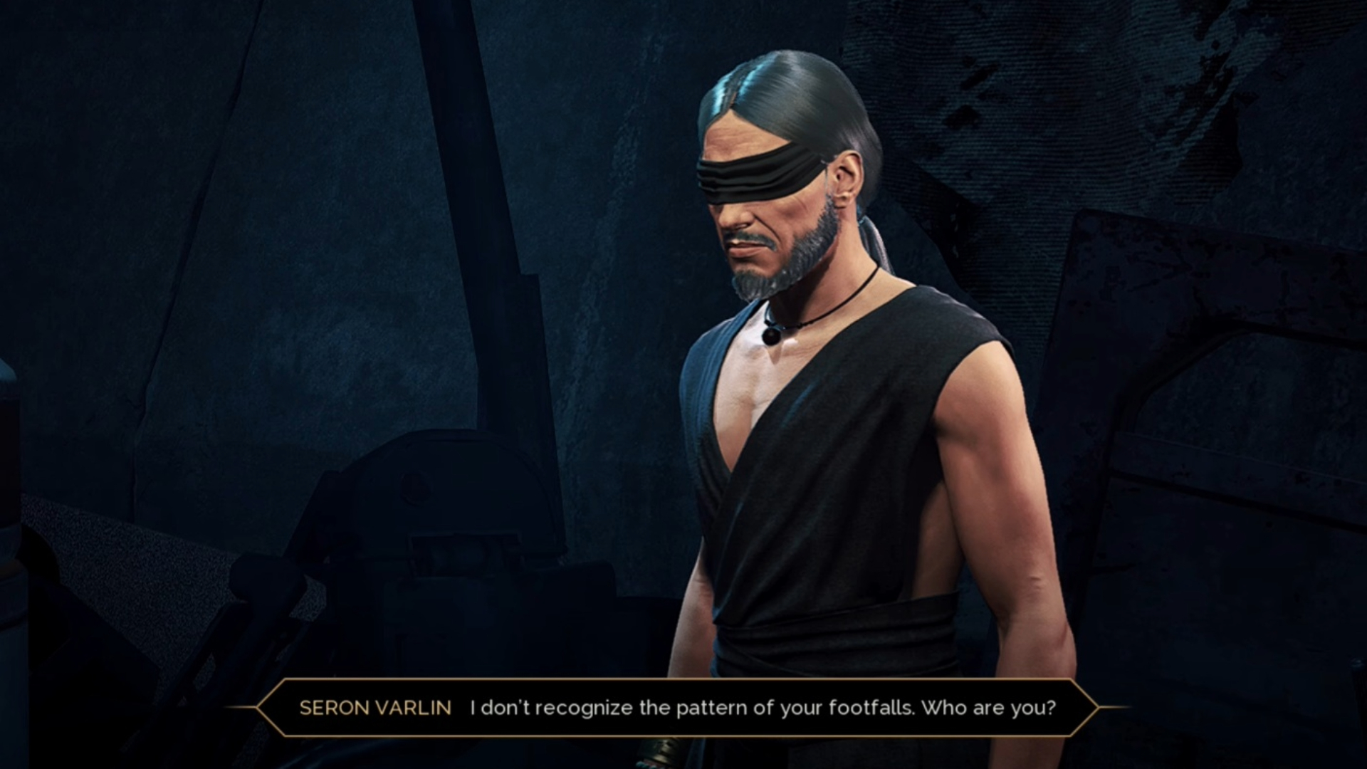 Seron Varlin is the advanced Swordmaster trainer