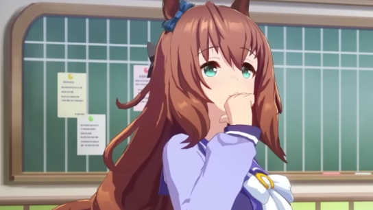 Uma Musume Pretty Derby Career Guide