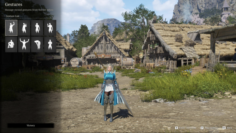 Vindictus Defying Fate: Gesture Guide