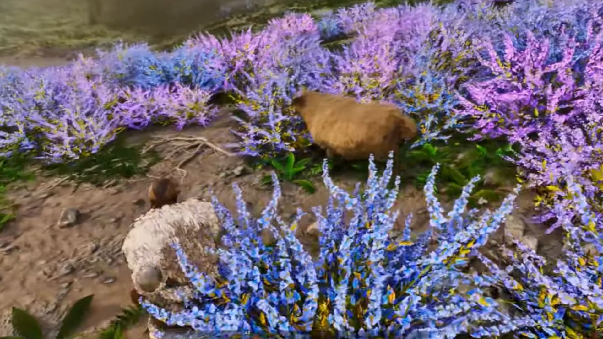 Ovis locations in Ark Ragnarok Ascended