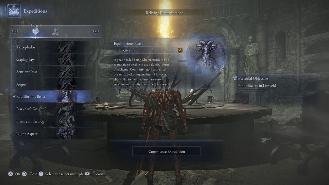Elden Ring Nightreign, PC, Gameplay, Flower Locations, In Limveld, Screenshot