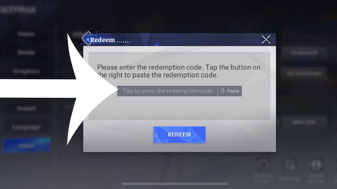 Voucher entry interface