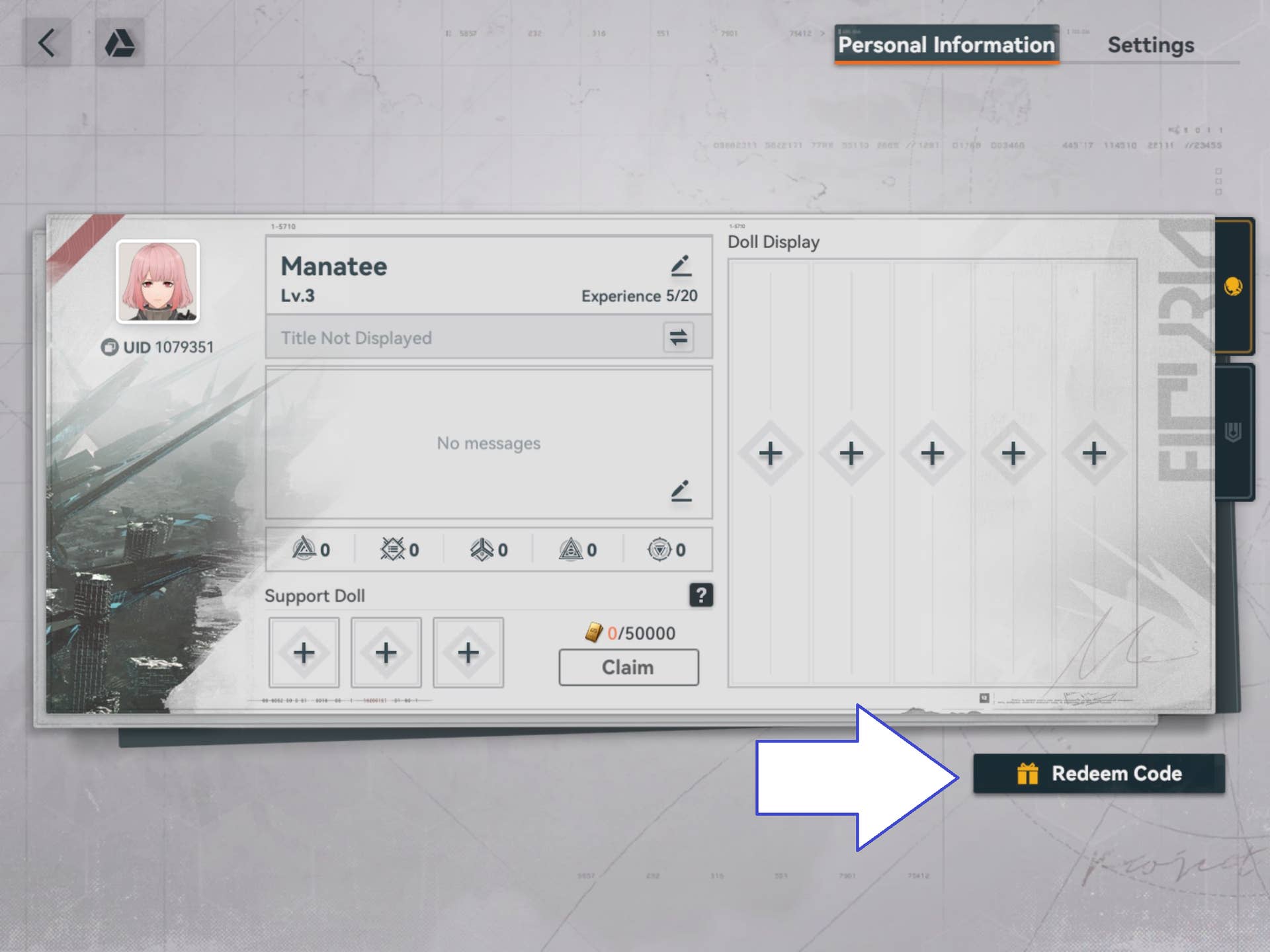 Access code verification interface