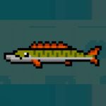 Nice Day for Fishing Picky Pike