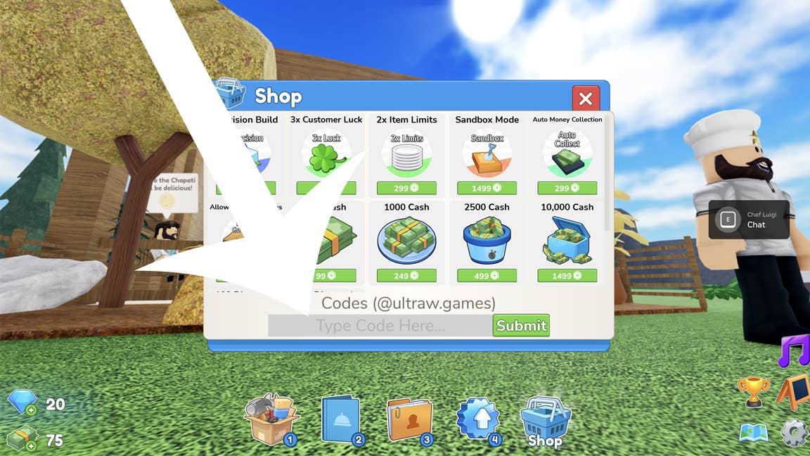 Illustration of code entry process