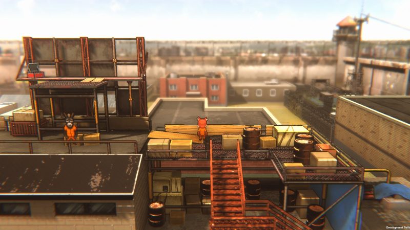 Back to the Dawn: Bob or Thomas – Who to Play First?