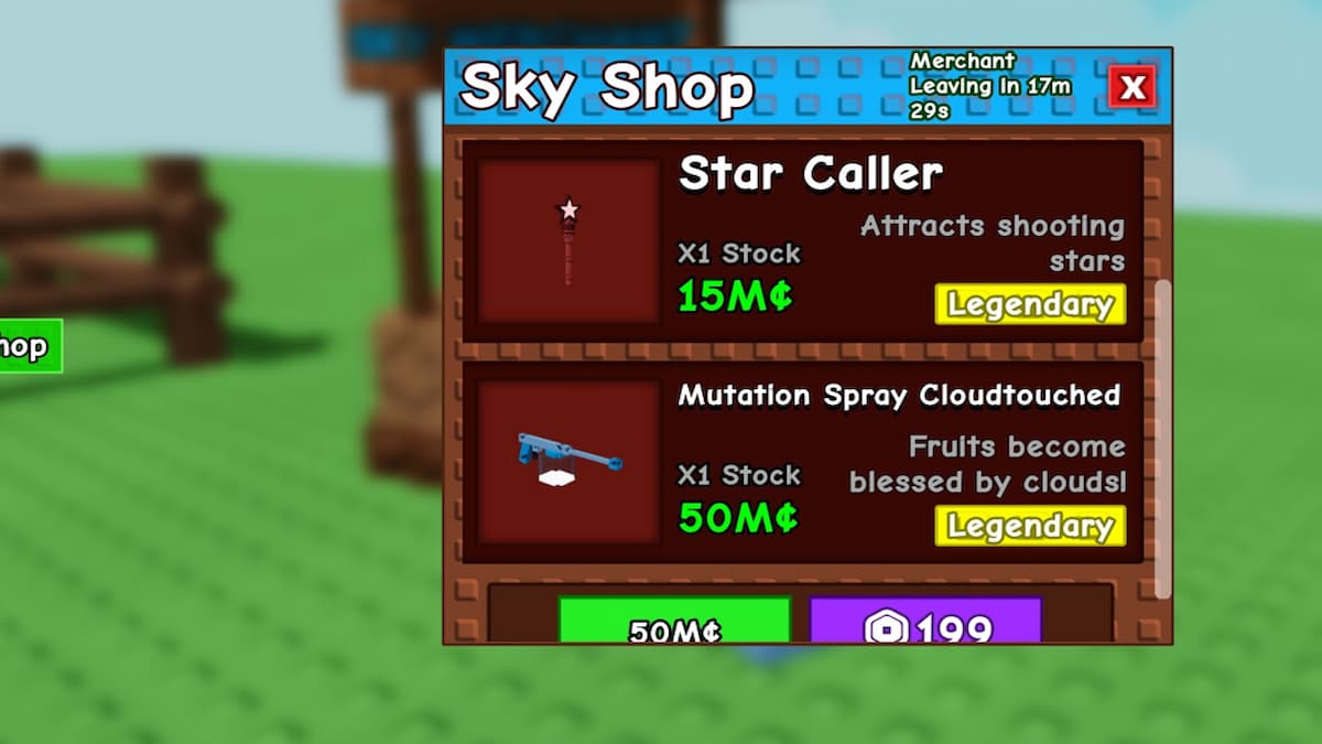 The Sky Merchant Shop