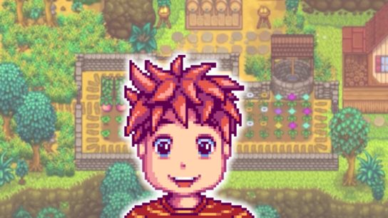 Stardew Valley Vincent guide