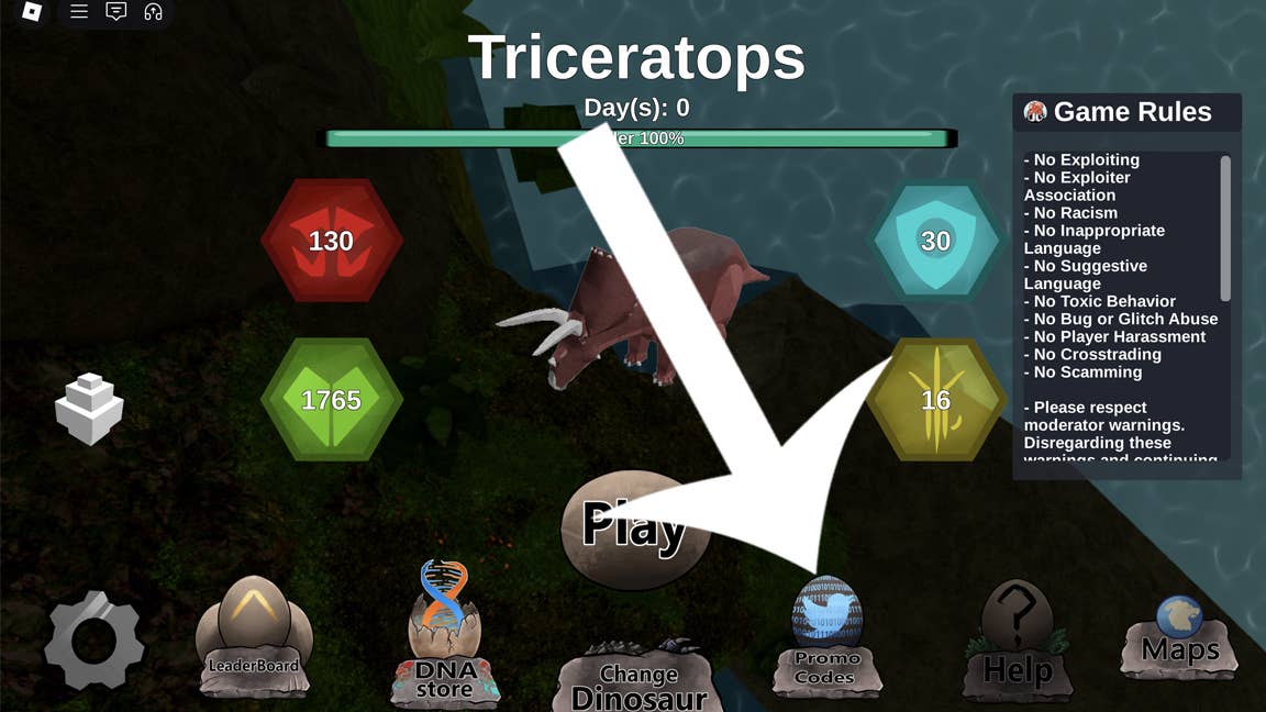 Visual guide to locating the code input field