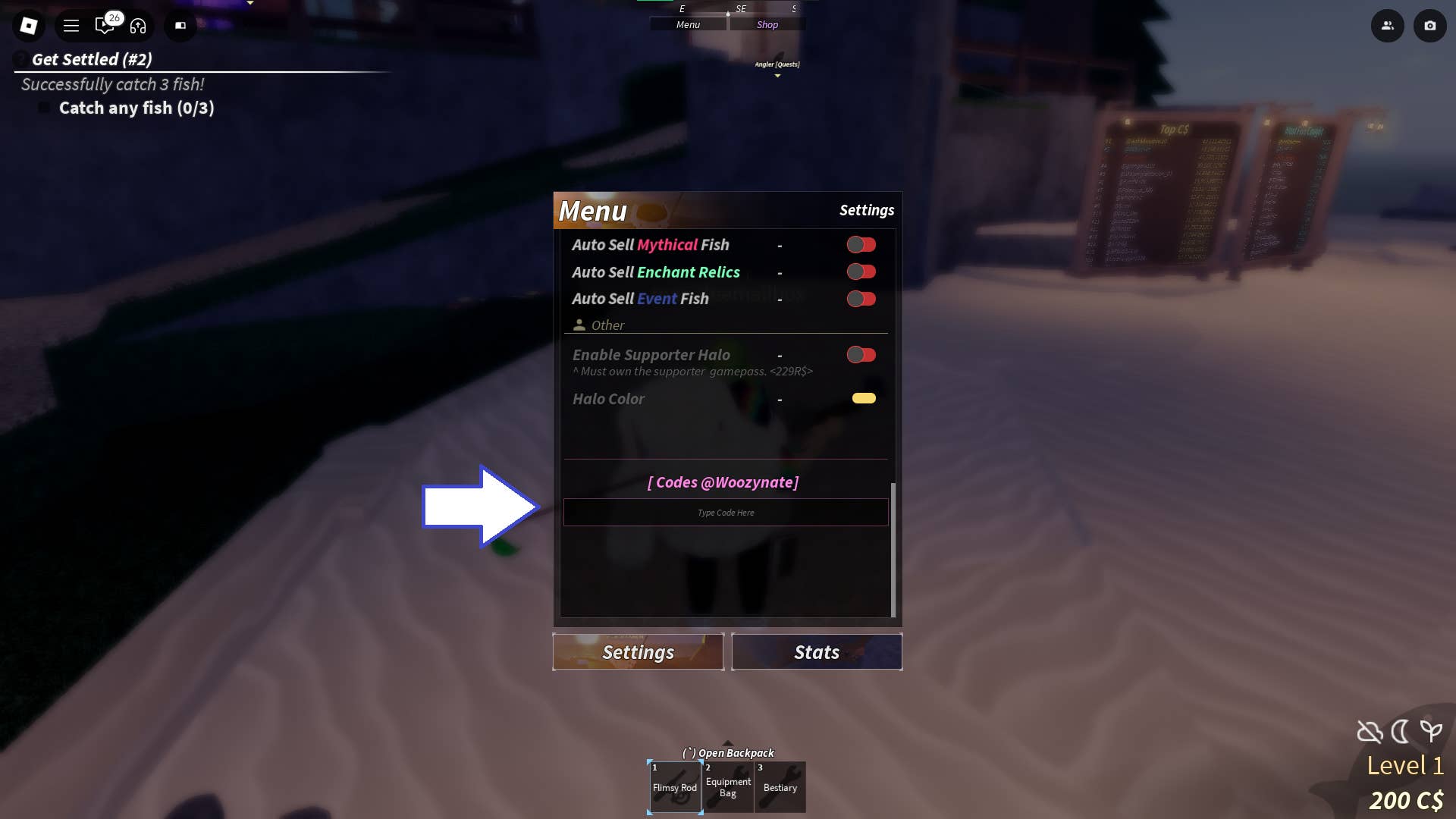 Visual guide to code input location