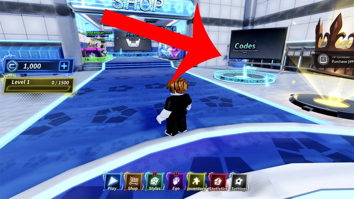 Codes section indicator in Goalbound's entry area