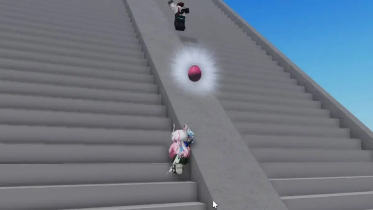 Ragdoll Find