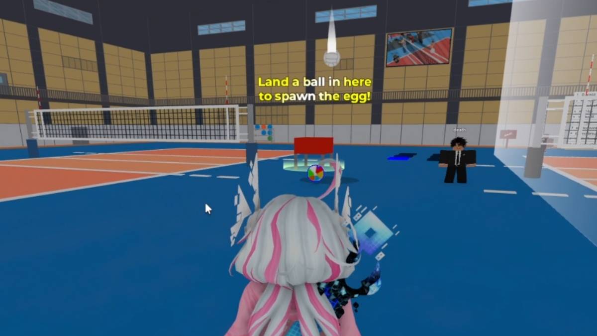 Egg location in Volleyball