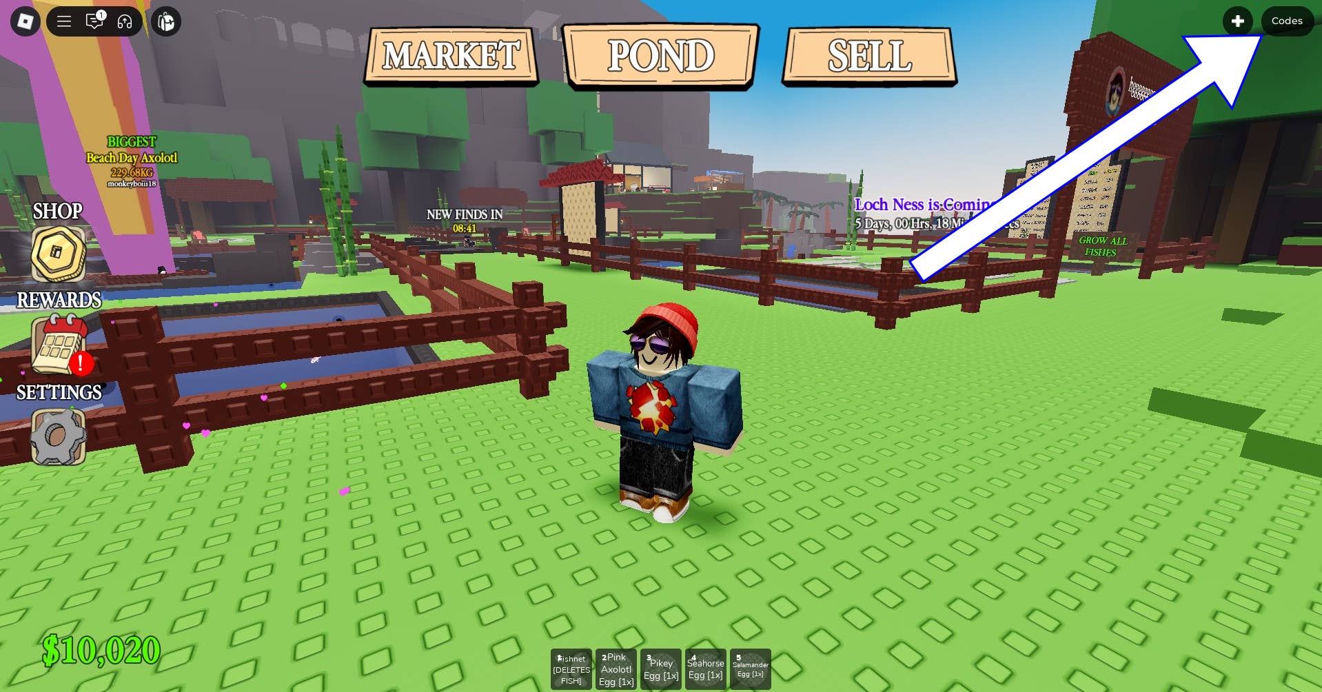 Interface navigation demonstration for code redemption