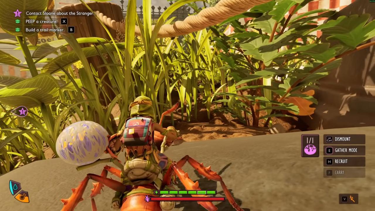 Strategic Egg Harvesting Guide