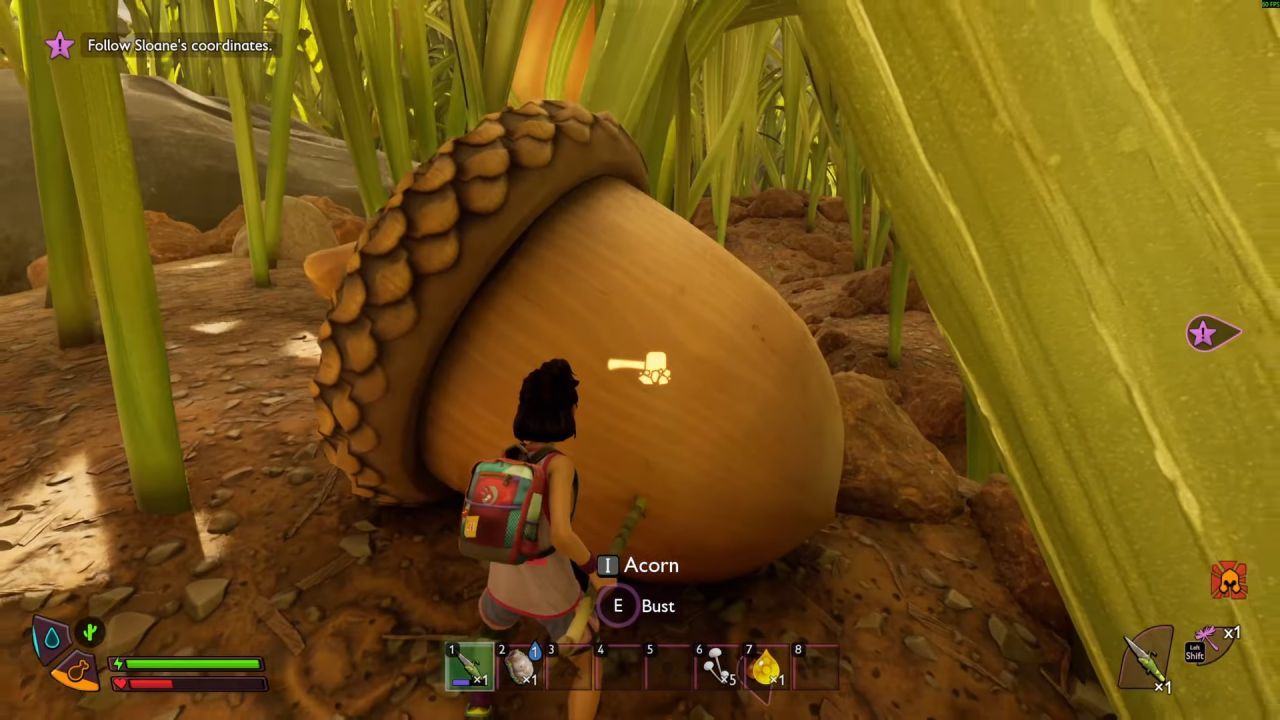 Grounded 2 Guide, How to Get Acorn