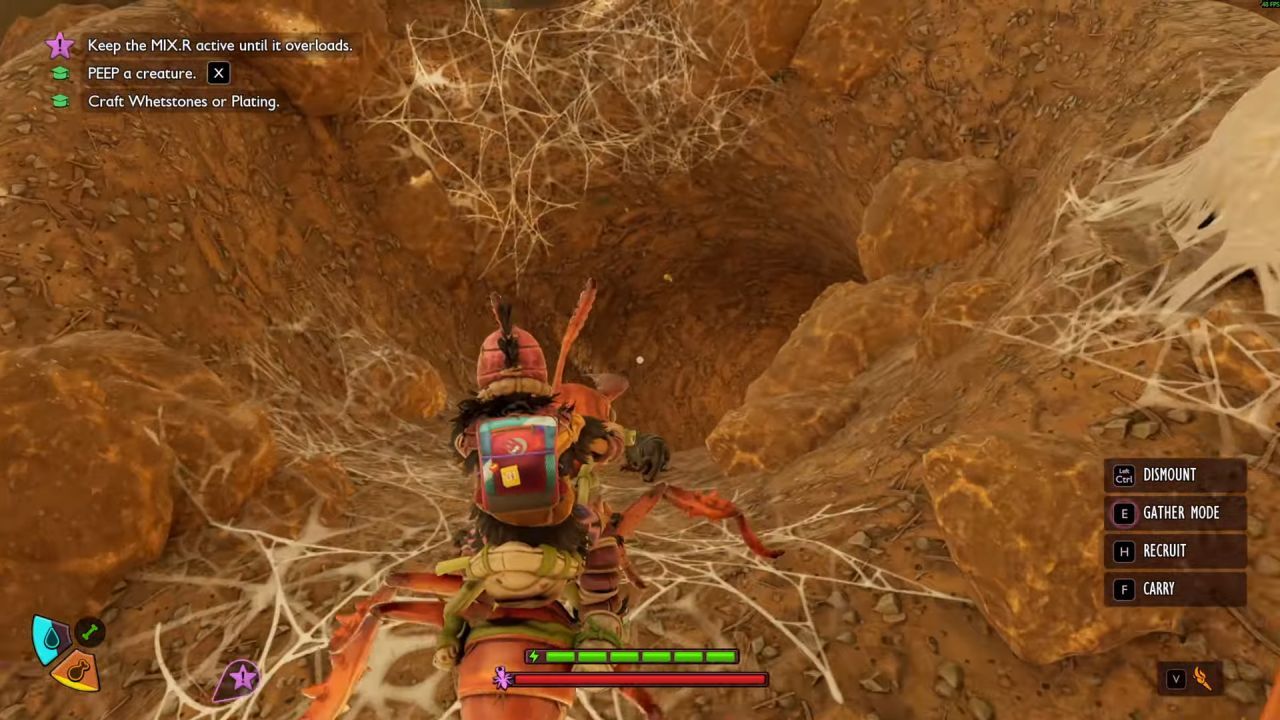 Grounded 2 Guide, How to Find Pine Hill Optical Disk