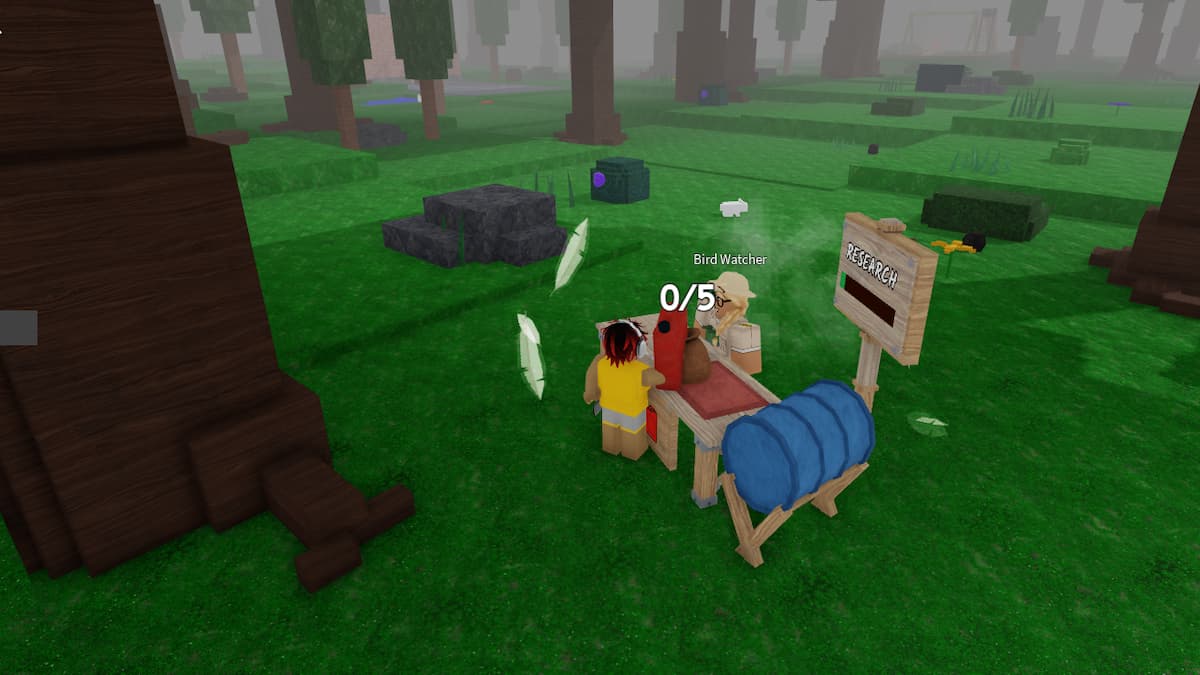 NPC interaction point