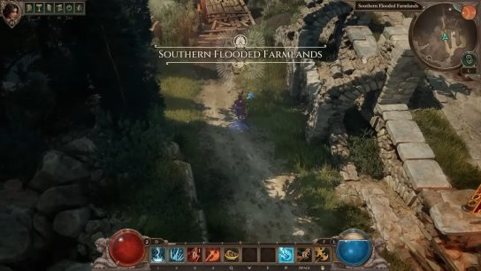 How to Get and Use Moly Root