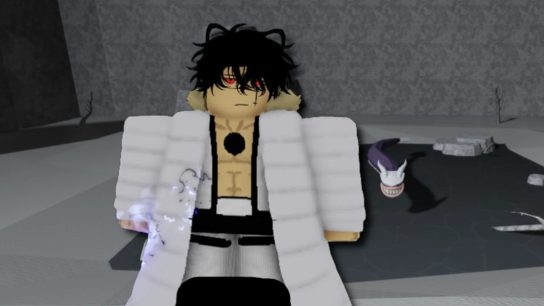 Type Soul Bawabawa boss guide