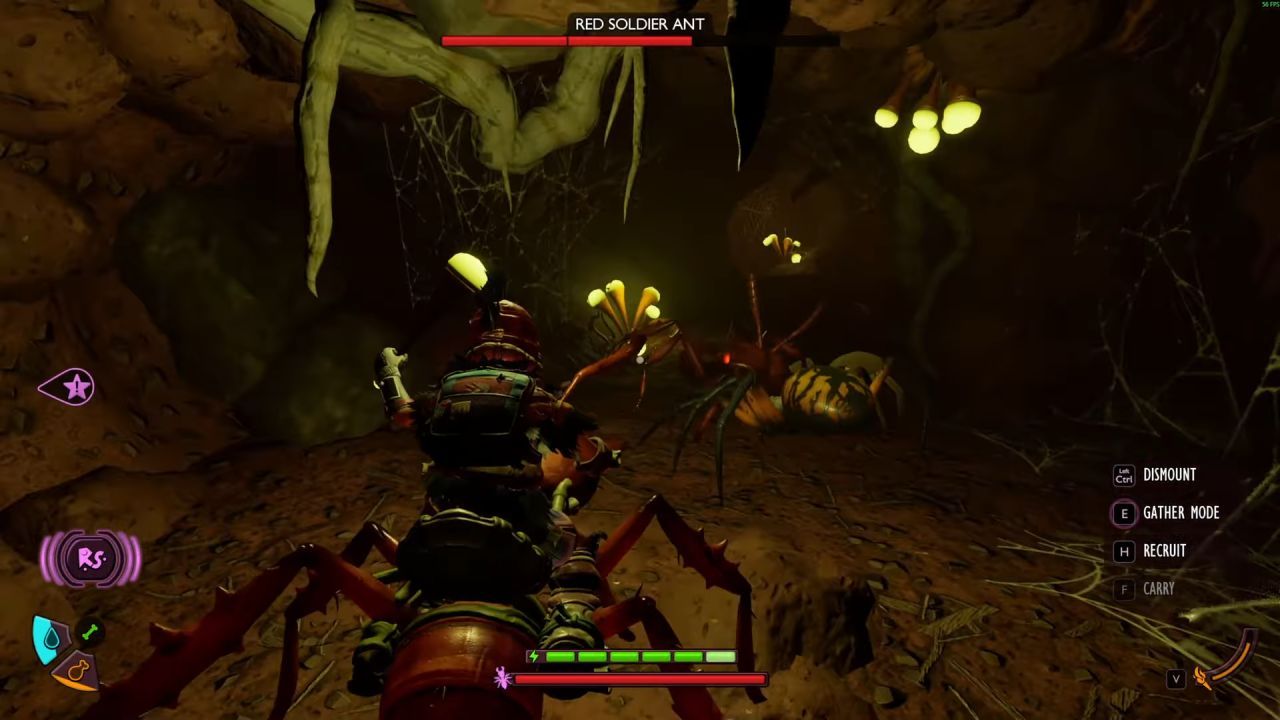 Grounded 2 Guide, How to Find Pine Hill Optical Disk