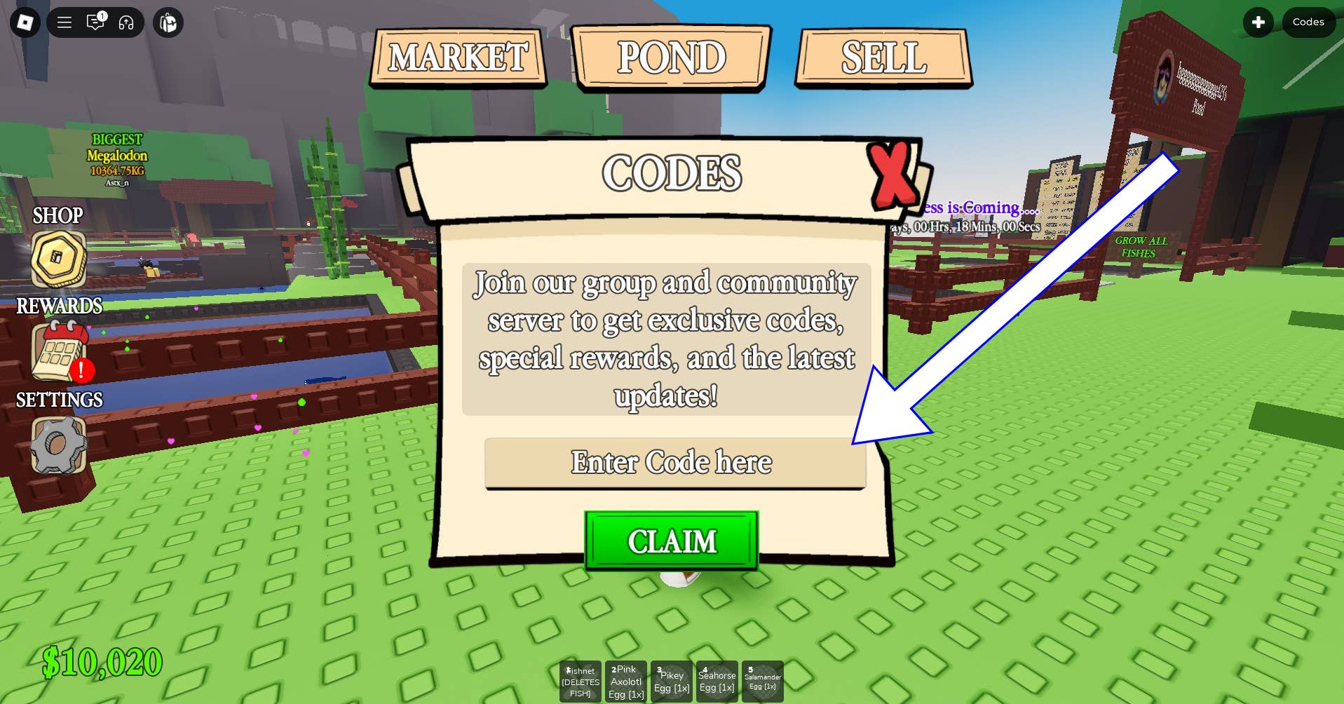 Visual guide to code input interface