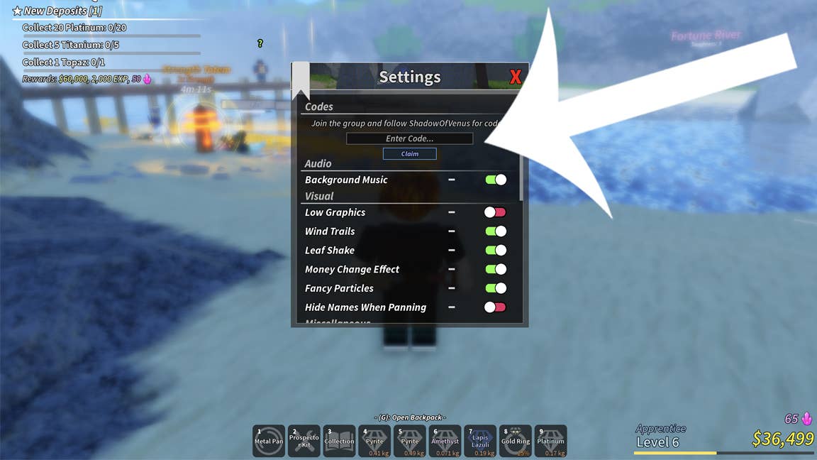 Interface demonstration for code entry