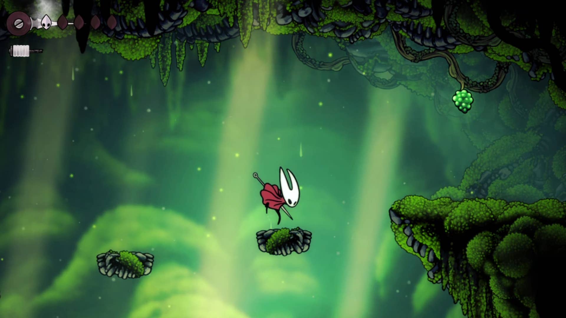 Vertical ascent through Moss Grotto's ecosystem