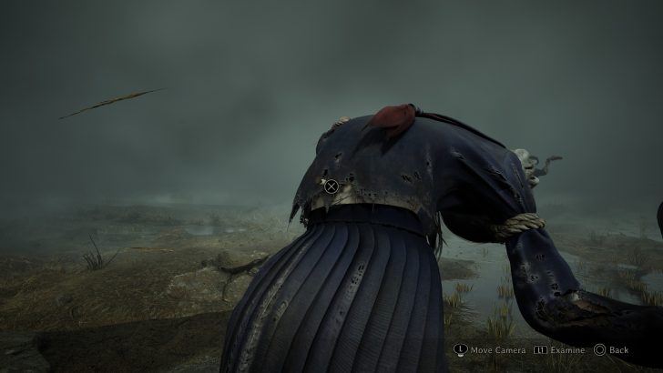 Character in tattered blue robe and red scarf is leaning over in a foggy landscape with on-screen text Move Camera and Examine.
