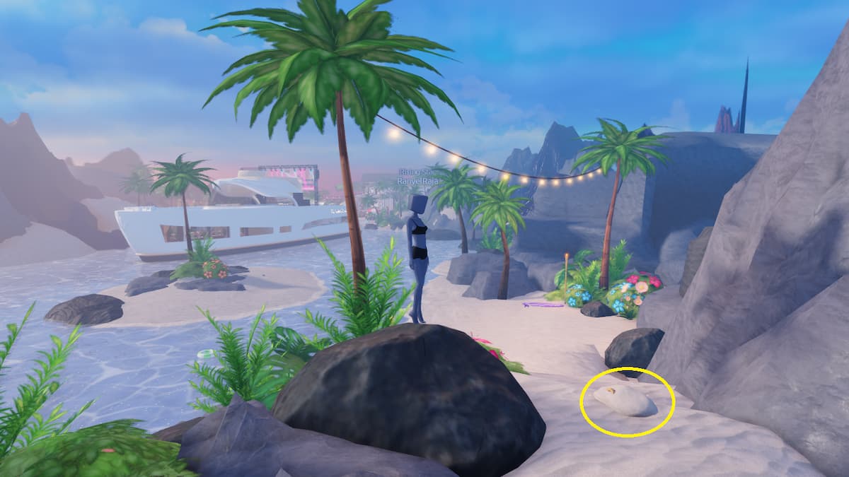 Coastal digging spot