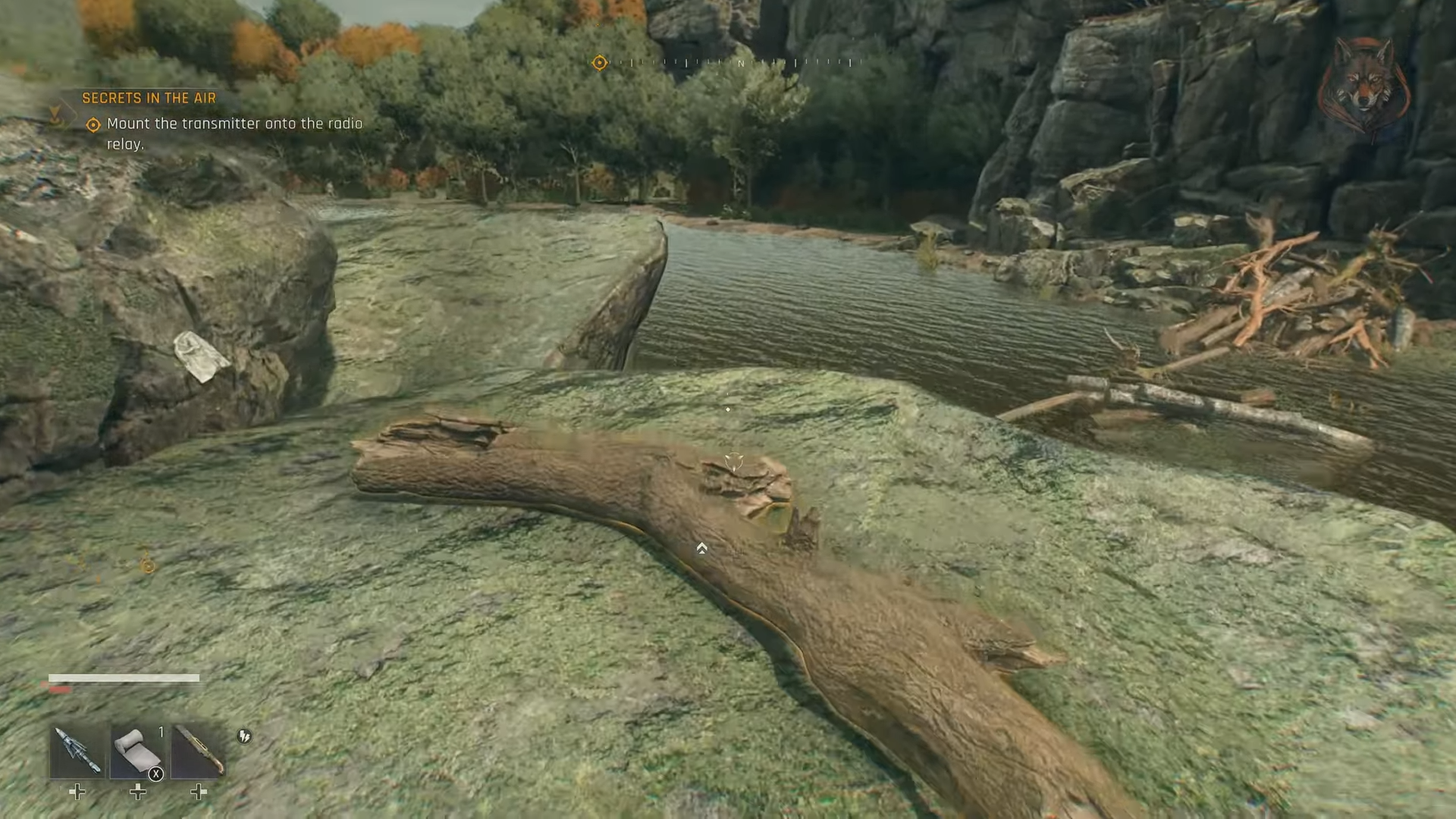 Stick resting on riverside rock