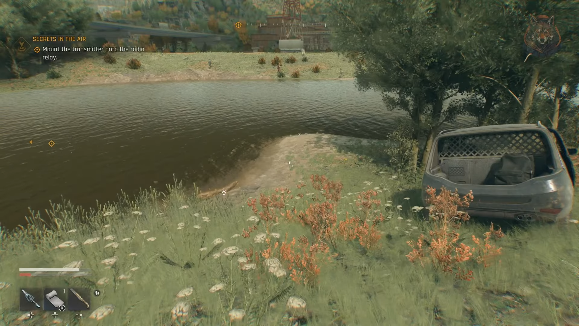 Branch near wrecked vehicle