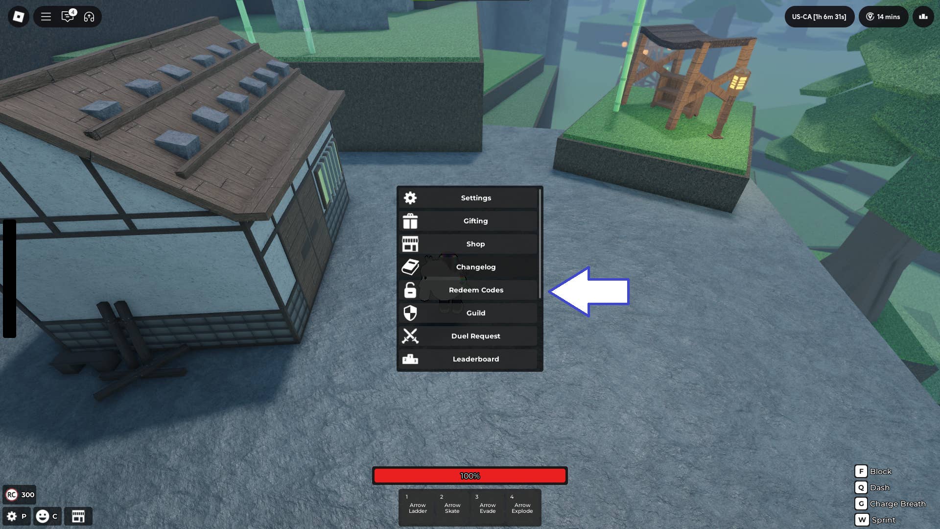Code redemption interface