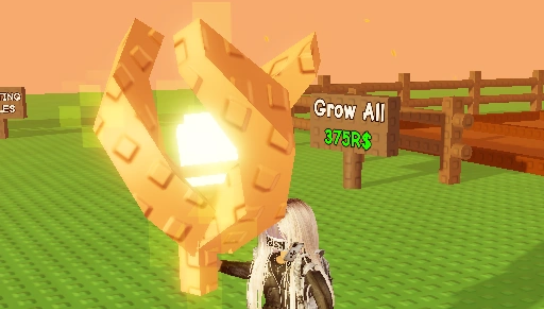 Seasonal seed packages containing Torchflare starter kits (Source: The Garden Game | Roblox)