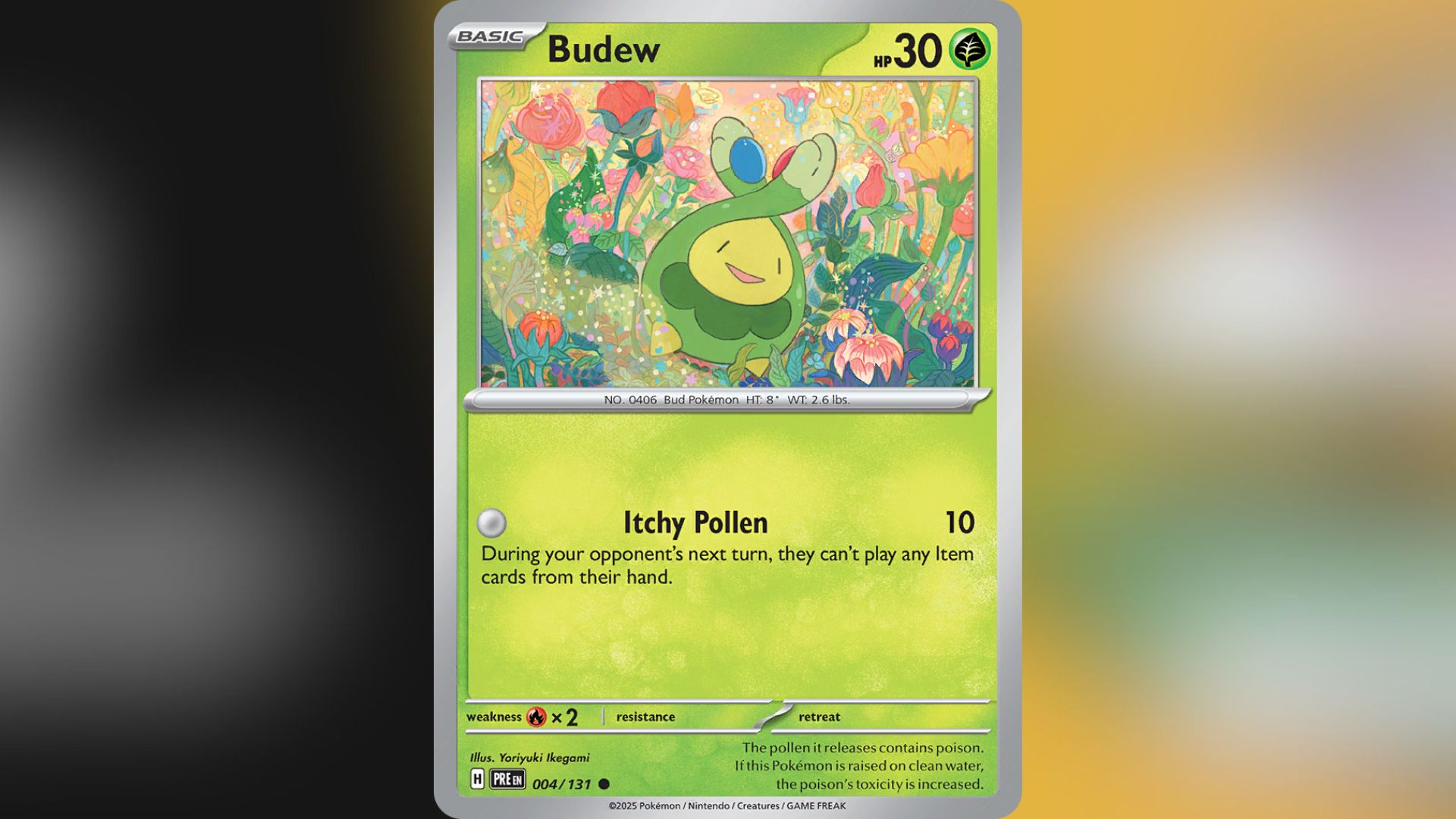 Budew (Image via TPC)