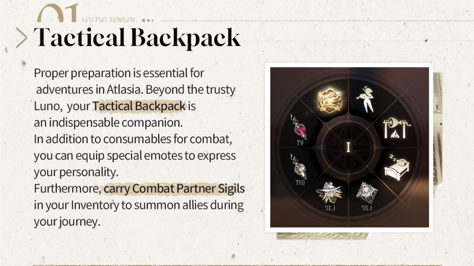 Equipping Combat Partners in Duet Night Abyss